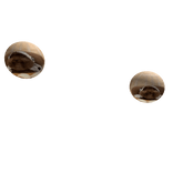 scoobert enjoying his meal😋