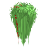 Σ（✸д＠；）unkept scene hair || green/red