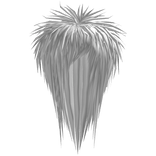 Σ（✸д＠；）unkept scene hair || white