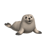 Seal