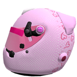 Selena's Racing Helmet