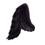 Sephiroth's Folded Wing