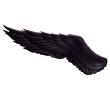 Sephiroth's Outward Wing