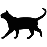 Shadowed Black Cat