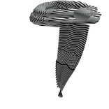 شال عامر (شباب البومب)