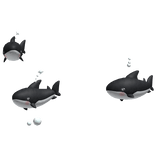 shark aura in black