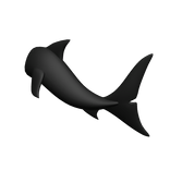 Shark Tail 2 - Black