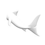 Shark Tail 2 - White