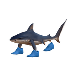 Shark With Shoes