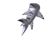 SharkTail/Large