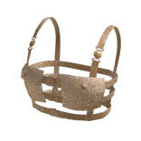 Shiny Gold Top Sahara Buckle