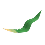 Shiny Grass Feline's Tail (2) (PBR)