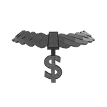 shiny money sign chain necklace