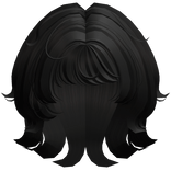 Short Cute Messy Wolfcut Black Hair