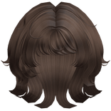 Short Cute Messy Wolfcut Brown Hair