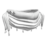 Short White Cross Scarf