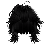 Short Wolf Cut (Black)