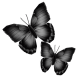 Side Face Butterfly [Black]