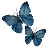 Side Face Butterfly [Blue]