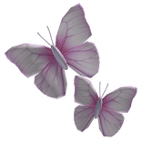 Side Face Butterfly [Pink]