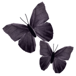 Side Face Butterfly [Purple]