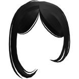 Side Swept Bangs in Black