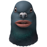 Sigeon Whispering Pigeon Tiki