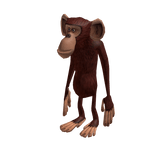 Silly Monkey
