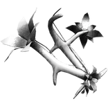 Silver Flower Arm Band 3.0 Right