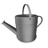 Silver Garden watering can