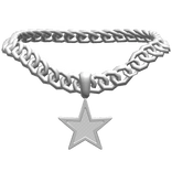 Silver Star Chain Council