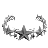 Silver Star Crown