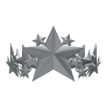 Silver Star Crown