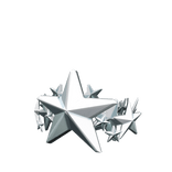 Silver Star Crown