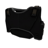 Silver Star Warband Armor