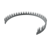 Silver Tiara