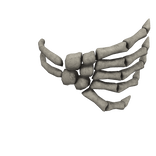Skeleton Grip