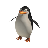 Skipper 