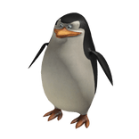 Skipper Suit