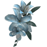 Sky Blue Summer Bloom Face Flower
