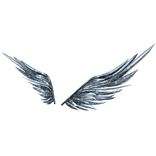 Skyblue Wings