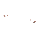 💯 SLAY French Nails - Beige