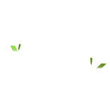 💅slay sharp nails green