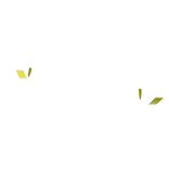 💅slay sharp nails yellow