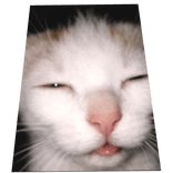 Sleepy Cat Meme Cape