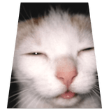 Sleepy Cat Meme Cape