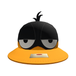 Sleepy Duck Cap