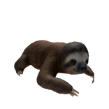 Sloth Left Shoulder Pet