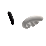 Small Black White Wings