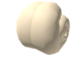Snail Shell